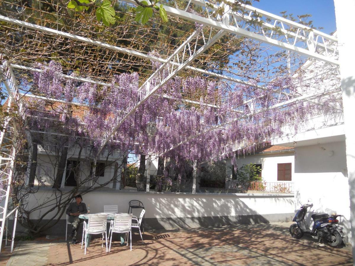 Apartments Gaj 布罗达里卡 外观 照片